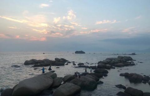 东升国际：新的经营模式应当立足在商业模式之上